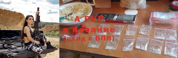 a pvp Бородино