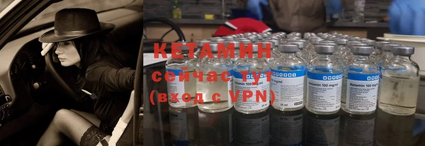 a pvp Бородино