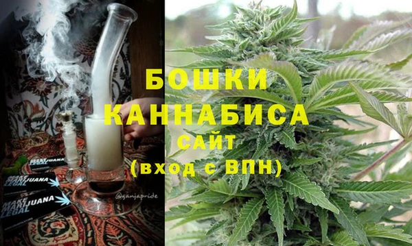a pvp Бородино