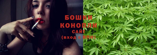 a pvp Бородино