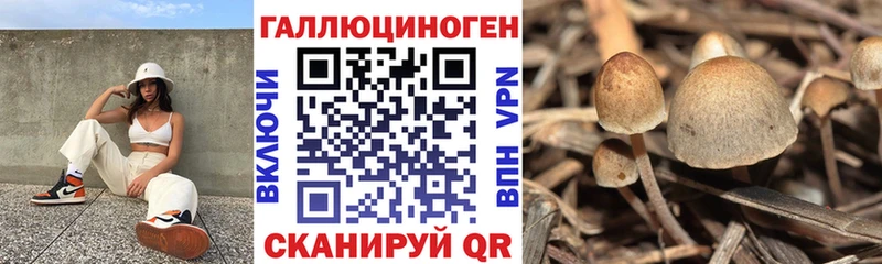 Купить где Симферополь Псилоцибиновые грибы мухоморы